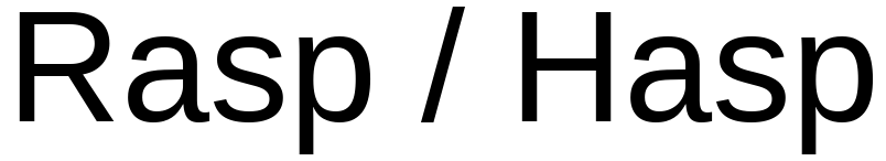 Rasp2